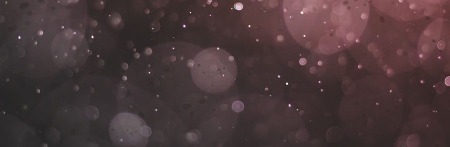 ShawnProvinceqa Cover Image
